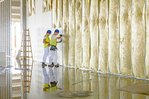 Best Insulation Maintenance and Repair in Marshallville, GA